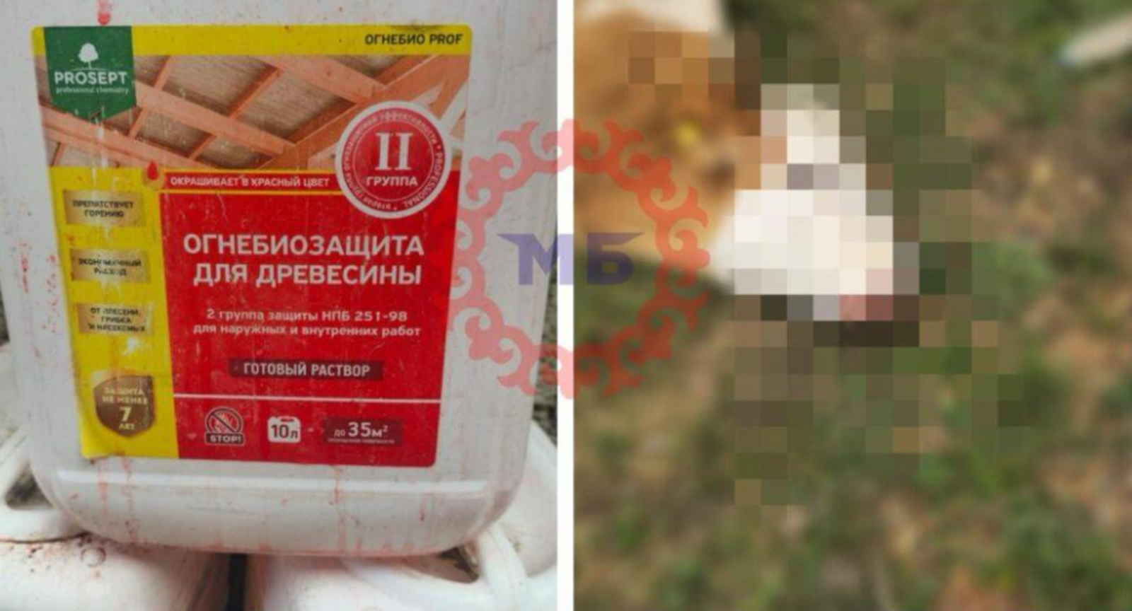 В Башкирии отравилось  много коров