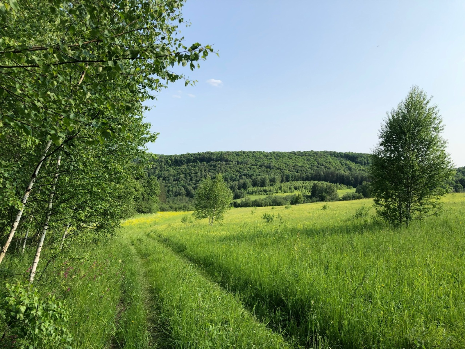 Ҡоштар тураһында ҡыҙыҡлы мәғлүмәттәр