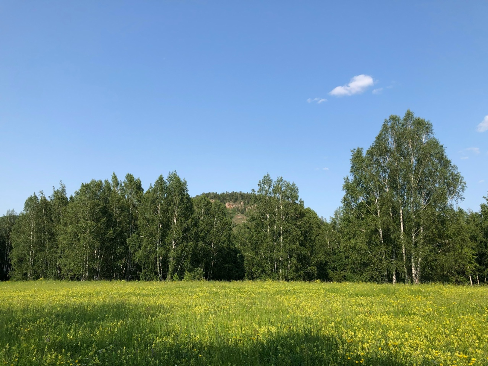 Ташып торһон көс-дәртең!